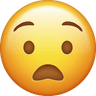 worried emoji