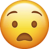 worried emoji